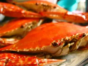 a crab on a table